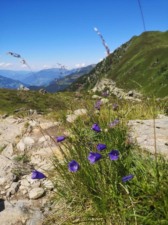 Ferienwohnungen Fichtenheim Mayrhofen Dış mekan fotoğraf